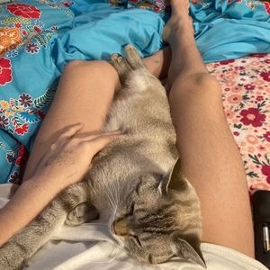 Meet your Posher, Diana